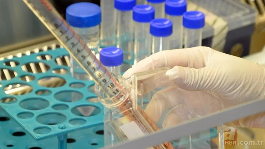 Metamfetamin Tehlikeleri: Metamfetamin nedir, zararları neler? Metamfetamin nasıl tedavi edilir? Metamfetamin bağımlılığı belirtileri nedir? 6