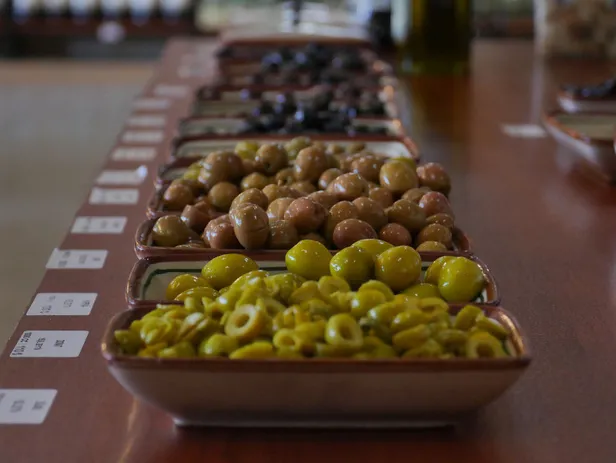 Zeytin çekirdeğini sakın atmayın! Bademcik iltihabının faydası onda saklıymış! Her gün 1 adet...