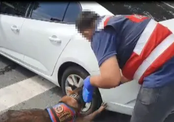 İstanbul'da nefes kesen operasyon! Avcı'dan kaçamadılar