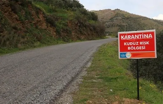 Kuduz tehlikesine dikkat! Şanlıurfa’da 1 mahalle daha karantinada