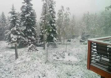 ABD'de kar uyarısı! 2 çocuk ölü bulundu