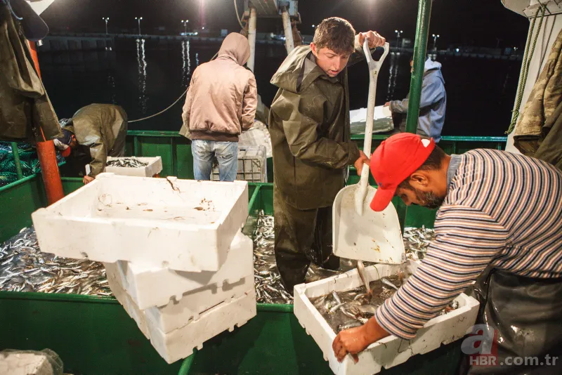 Balık fiyatları ne zaman düşer | Halden tezgaha bölge bölge fiyatlar değişiyor 19
