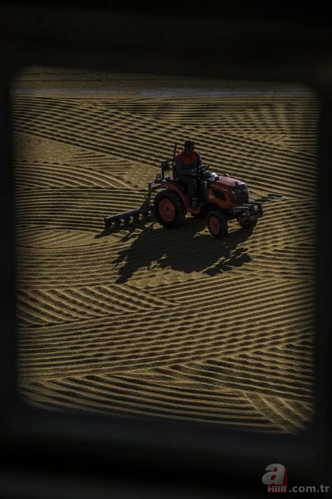 Güneydoğu bulguru 88 ülkeye satıldı 7