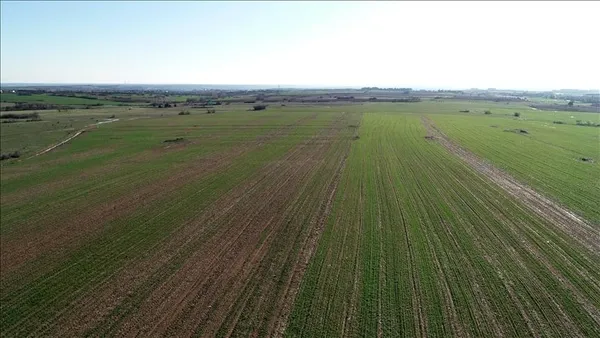 Arsa ve tarlaya talep patladı satış rakamları rekor kırdı! Uzmanlardan 10 öneri! Bakmadan sakın almayın