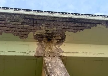 Esenyurt'ta her gün binlerce aracın geçtiği Balıkyolu Köprüsü tehlike saçıyor! Betonları döküldü paslı demirler çıktı