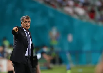 Şenol Güneş'in yeni adresi belli oluyor