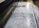 Vanda korkutan deprem