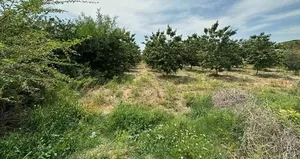 Cinayeti arkadaşının üzerine attı!