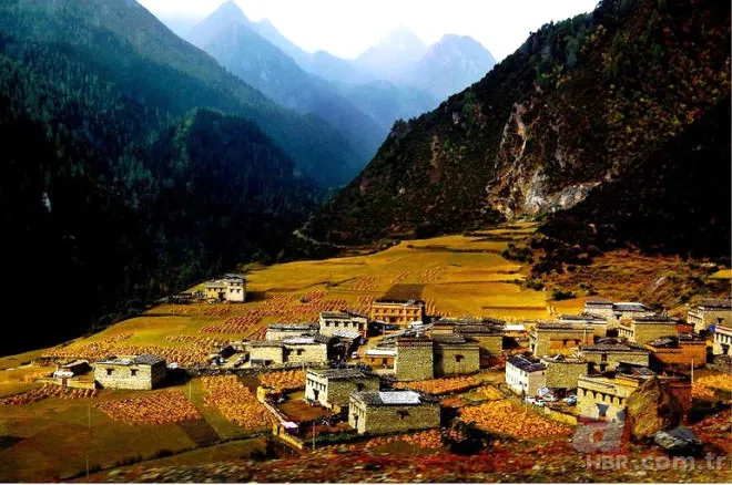 256 yıl yaşayan adamın sırrı çözüldü! 3