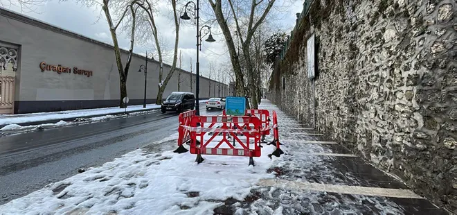 ’İzin’ numarası ortaya çıktı! Ağaç katliamı yapan CHP’li İBB’ye tepkiler sürüyor!