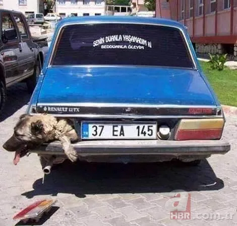 Görenlerin ağzı açık kaldı! Oltasız balık tutmaya küçük yaşta başladı 25