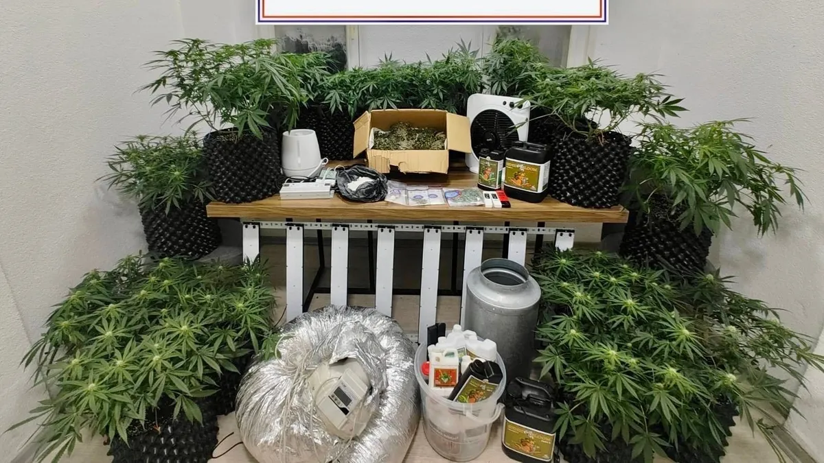 Bodrum'da uyuşturucu operasyonu: 2 kişi gözaltında