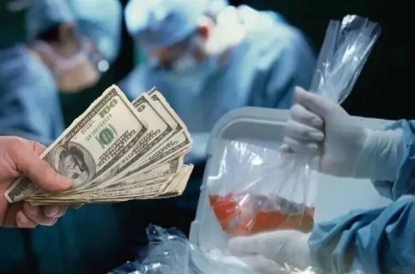 gigi-hadidden-tuyler-urperten-paylasim-israilli-profesor-meira-weissten-itiraf-israil-olu-filistinlilerin-orga-1701174458548.jpg Gigi Hadid’den tüyler ürperten paylaşım! İsrailli profesör Meira Weiss’ten itiraf! "İsrail ölü Filistinlilerin organlarını…" - 5