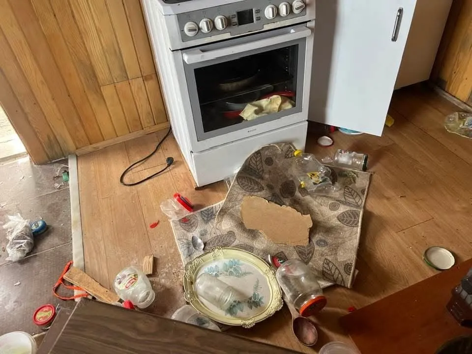 Kış uykusu bitti, ayı istilası başladı Doğu Karadeniz yaylalarında ayı tehlikesi tırmanıyor - 2