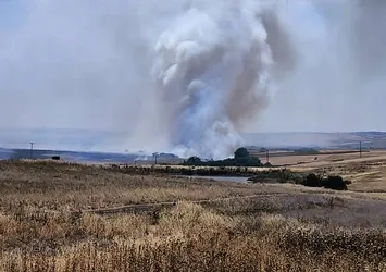 Hayrabolu’da anız yangını korkuttu: 500 dekar alan zarar gördü