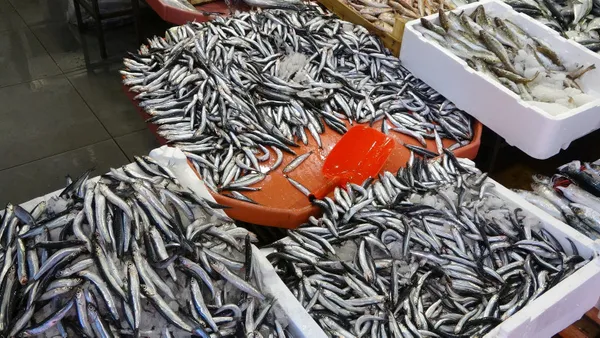 Karadeniz'de hamsi bereketi! 60 TL'den tezgahlarda - 4