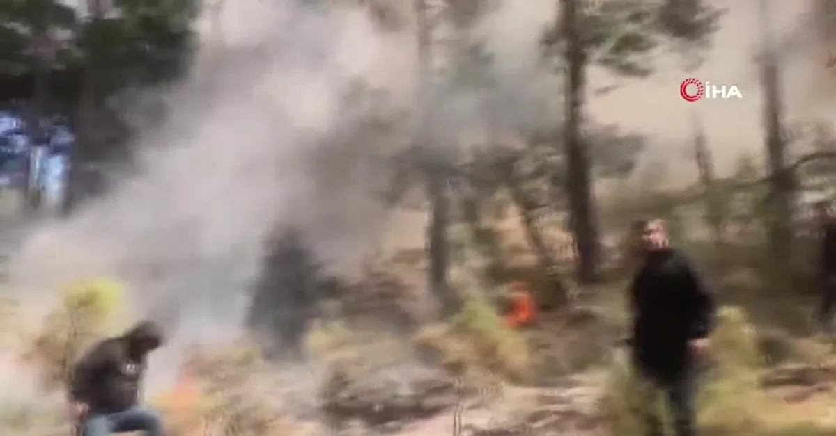 Muğla Fethiye'de orman yangını