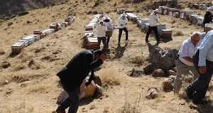 Şükür duasında arılar saldırdı
