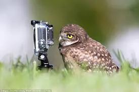 Erzurum'da görenleri şaşırtan anlar! Hemen telefona sarıldılar 22