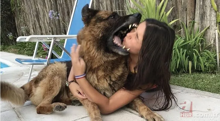 Köpekle fotoğraf çektirmek istedi başına gelmeyen kalmadı! İşte son hali...