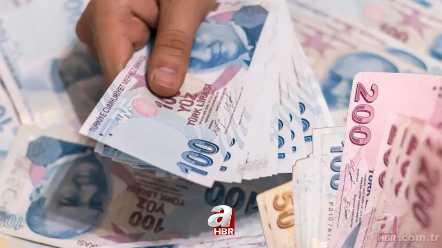 TCKN ile başvurana 33 bin 387 TL para yardımı! 90 günlük sigorta girişi olan yaşadı! Şartları karşılayan koşsun! 5