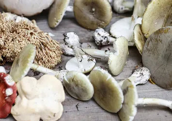 Tüketirken dikkat edin! Bir lokması ölüme neden oluyor