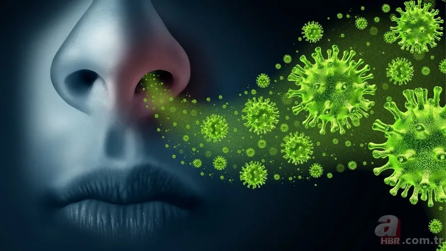 Bir anda gelen hapşırık ne anlama geliyor? Bağışıklık sisteminin gizli savunması 9