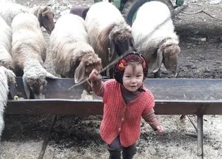 Müge Anlı’da aranan Müslüme’nin dedesi Hasan Yağal ile Başak Cengiz’in katili Can Göktuğ Boz aynı hapishanede! İçeriden haber var: Diğer mahkumlar...