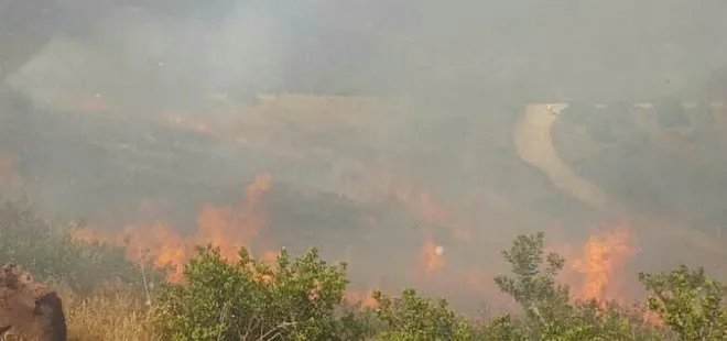 Son dakika: Bodrum’da makilik alanda yangın
