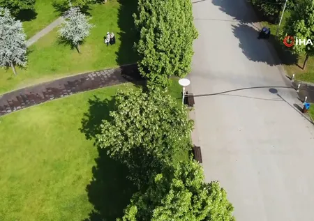 Kilosu yüzlerce lira! Çoğu cadde ve parkta... Kimse toplamıyor