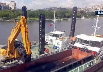 Haliç can çekişiyor! İBB sadece seyrediyor, balıklar suyun yüzüne çıktı
