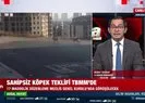 Sahipsiz köpek teklifi TBMM’de