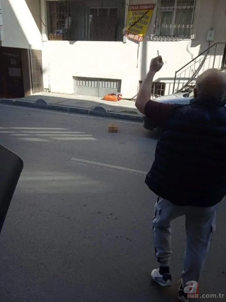 SON DAKİKA: Ali Sayan öldü mü? Bağcılar'da annesinin kafasını kestiği sansürsüz video infial yaratmıştı! Ali Sayan intihar mı etti? 11