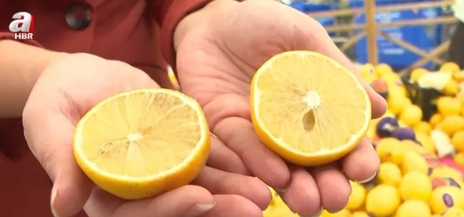 limon-fiyatlarinda-bahce-market-ucurumu-dalinda-3-lira-markette-17-lira-1631083757116.jpg Limon fiyatlarında bahçe-market uçurumu! Dalında 3 lira markette 17 lira - 2