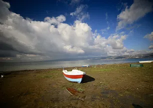 Sapanca Gölü alarm veriyor! Son 65 yılın en büyük felaketi