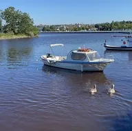 Haliç’te suyun rengi kahverengiye döndü