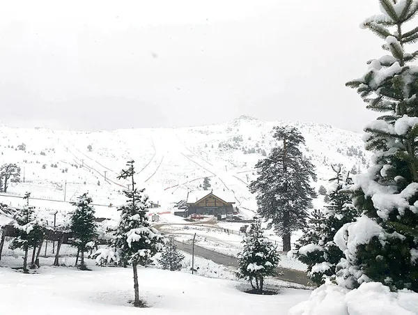 Balkanlar'dan İstanbul'a kar geliyor! İşte 5 günlük hava durumu | Kar için tarih ve rapor yayınlandı - 7