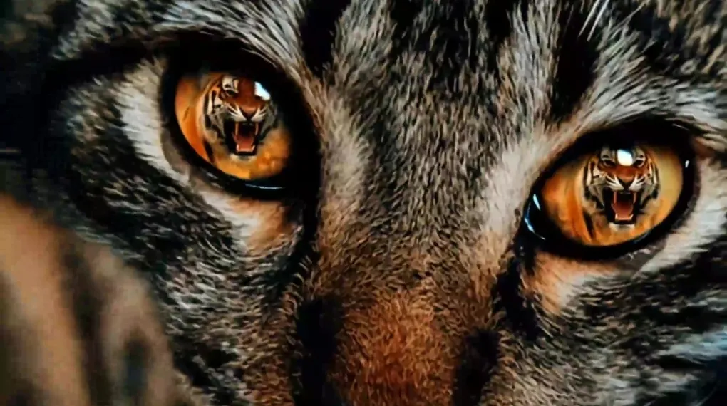 Trabzonspor'dan Galatasaray göndermesi