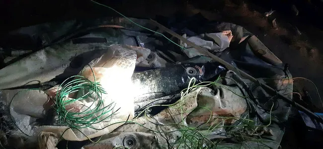 Manisa’da elektroşok ile balık avlarken yakalanan 2 kişiye 20 bin TL ceza - 2