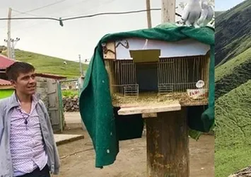 ‘Kanatsız Kuş’ 9 ay sonra köyünde