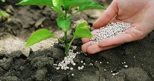 Gübre fiyatlarındaki artış dur durak bilmiyor!