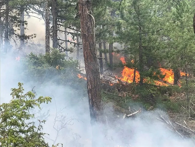 Son Dakika Usak Ta Orman Yangini