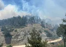 Hatay’da korkutan orman yangını!
