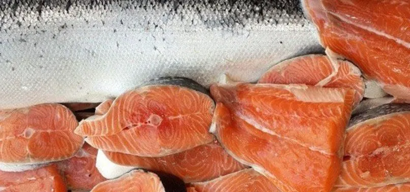 Somon balığının faydaları nelerdir?