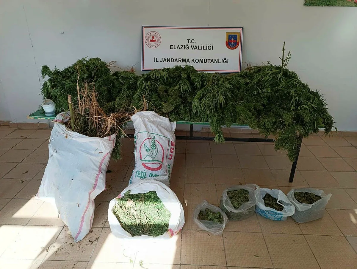 Elazığ'da uyuşturucu operasyonu: 20 kilo 200 gram esrar ele geçirildi