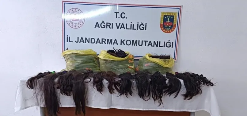 Ağrı'da poşetlerin içinden çıkanlar şaşkına çevirdi: 397 adet...