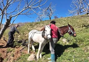 Günlük 8 bin TL'ye işçi bulunamıyor!