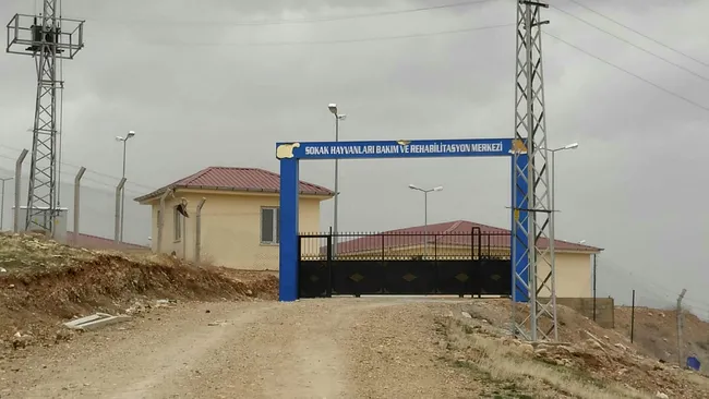 HDP’li belediyenin hayvan barınağında havan mermisi bulundu!