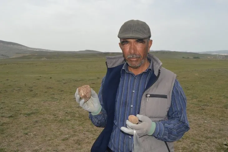 Afyonkarahisar'da vatandaşlar domalan mantarlarını toprak altında define gibi aranıyor