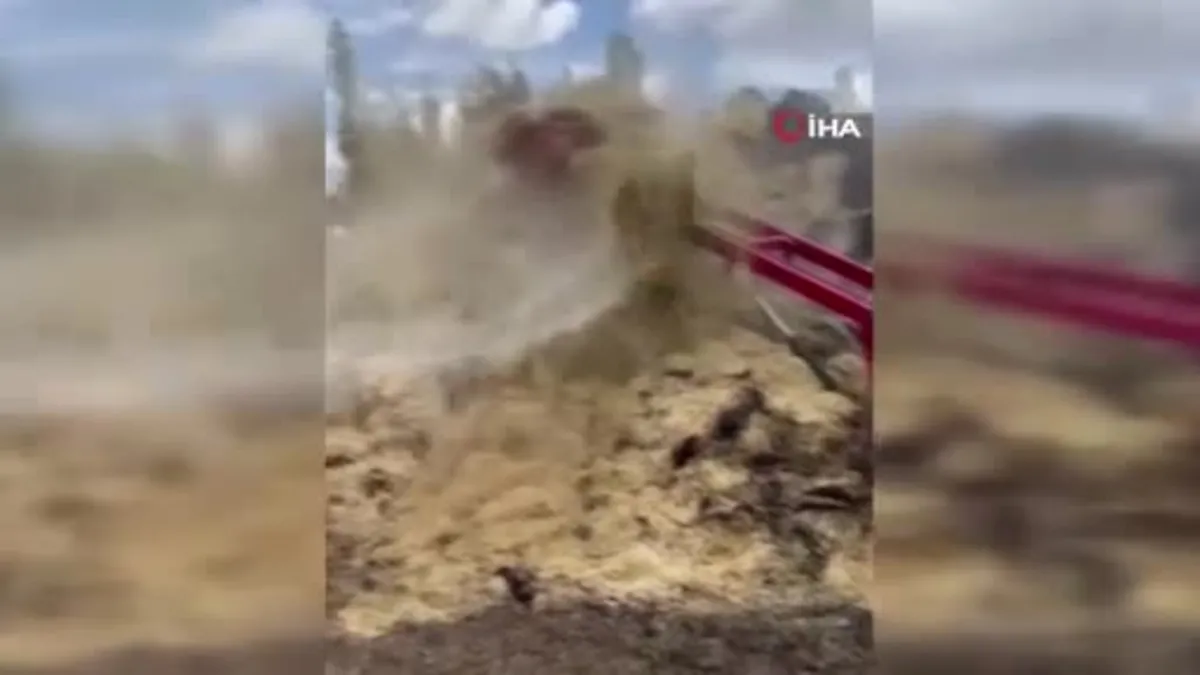 Bin saman balyası yanarak kül oldu